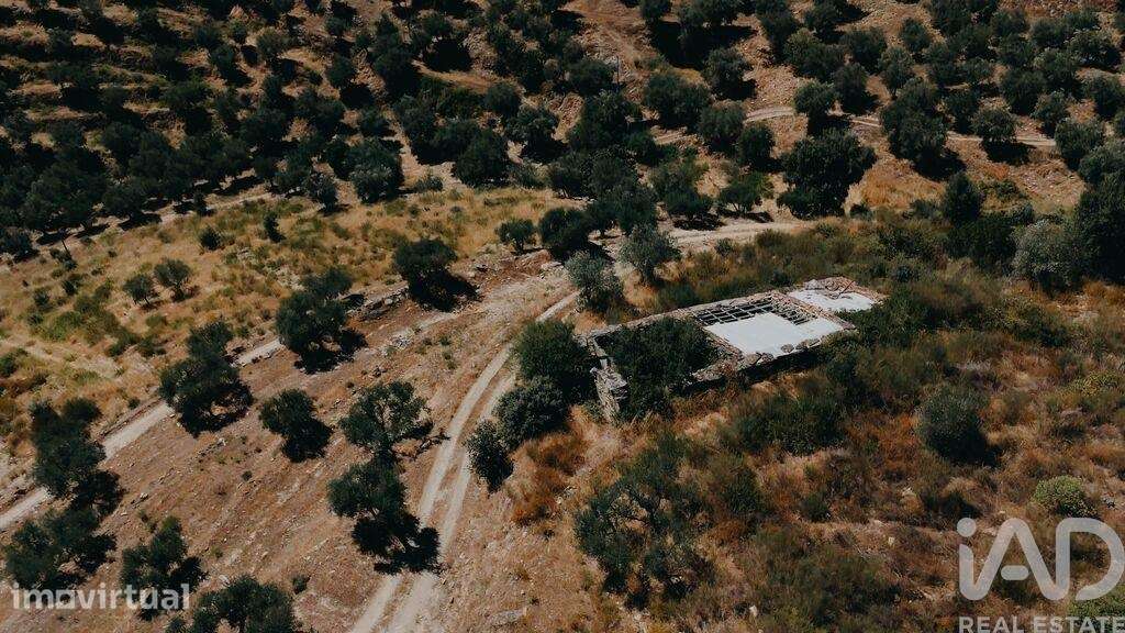Quinta em Vila Seca e Santo Adrião - Grande imagem: 5/34