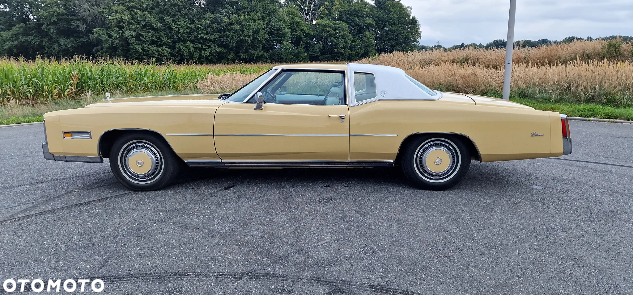 Cadillac Eldorado - 2