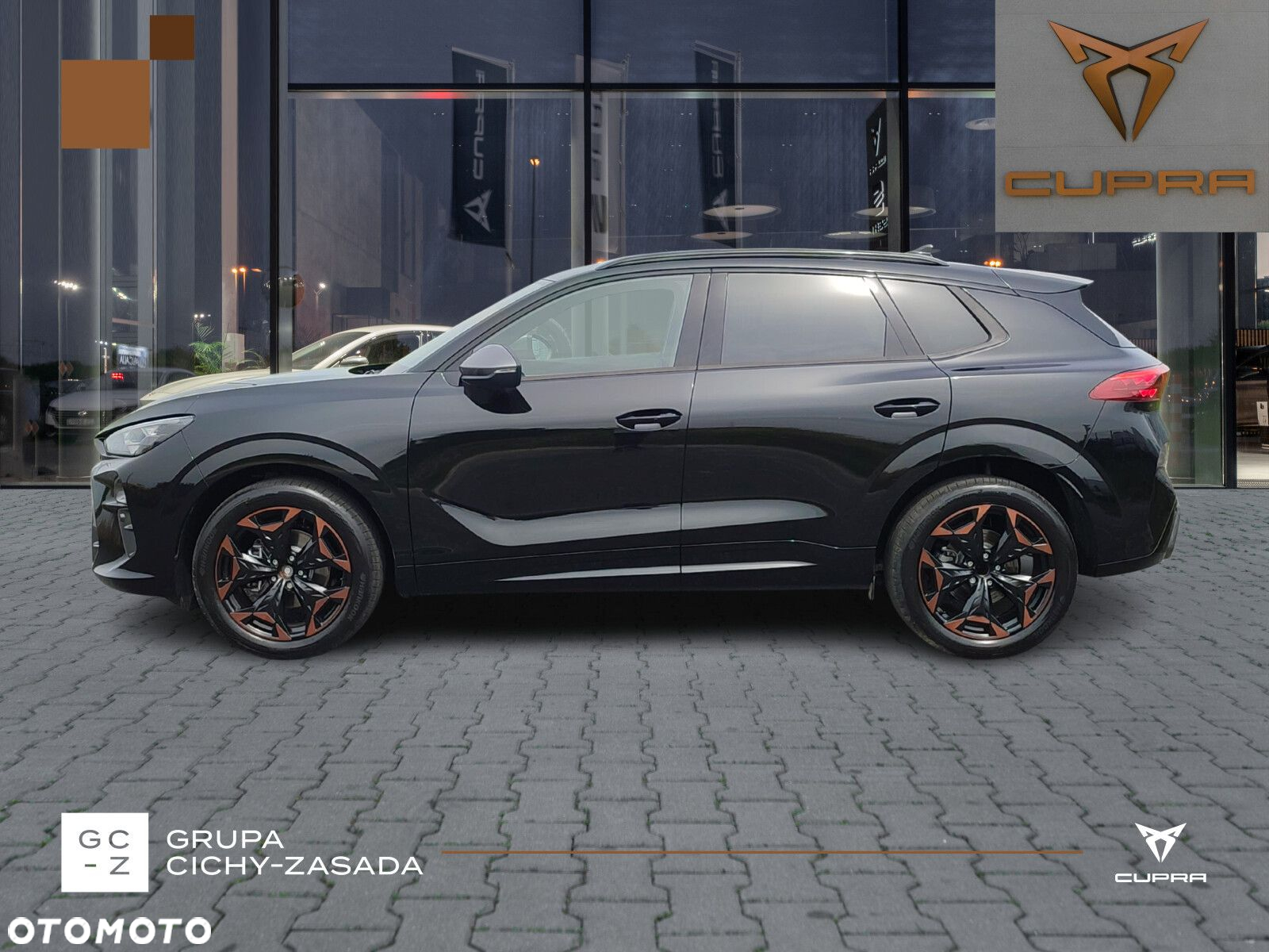 Cupra Terramar - 2