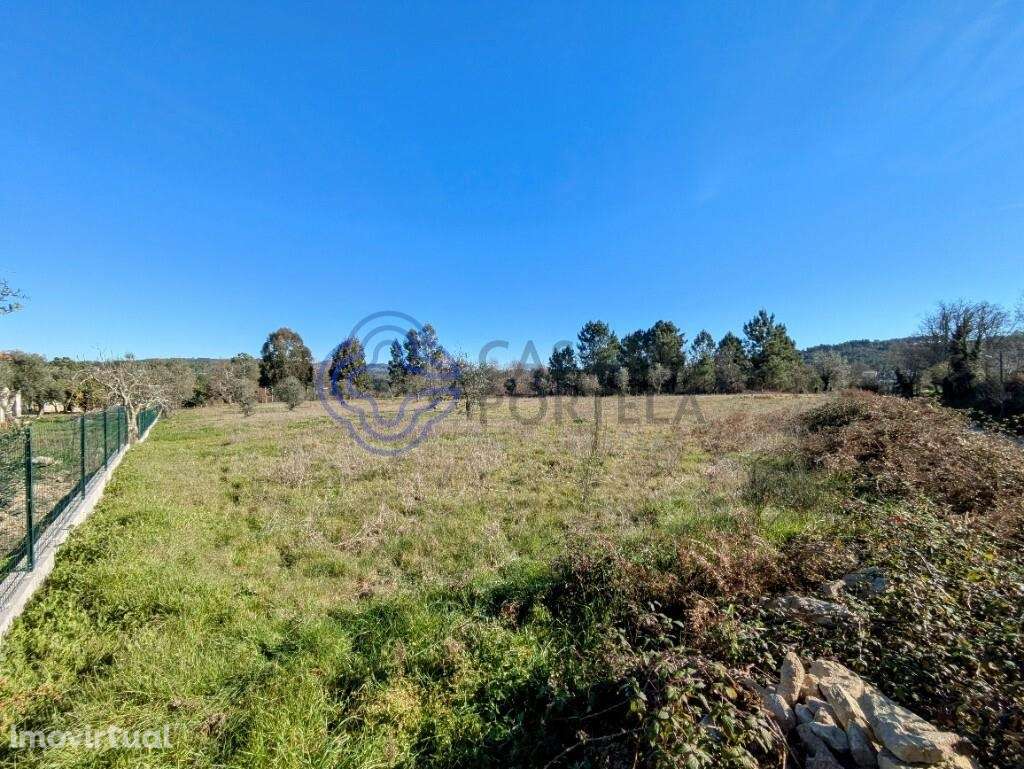TERRENO URBANIZÁVEL PLANO EM TRAGOS, MANGUALDE - Grande imagem: 3/19