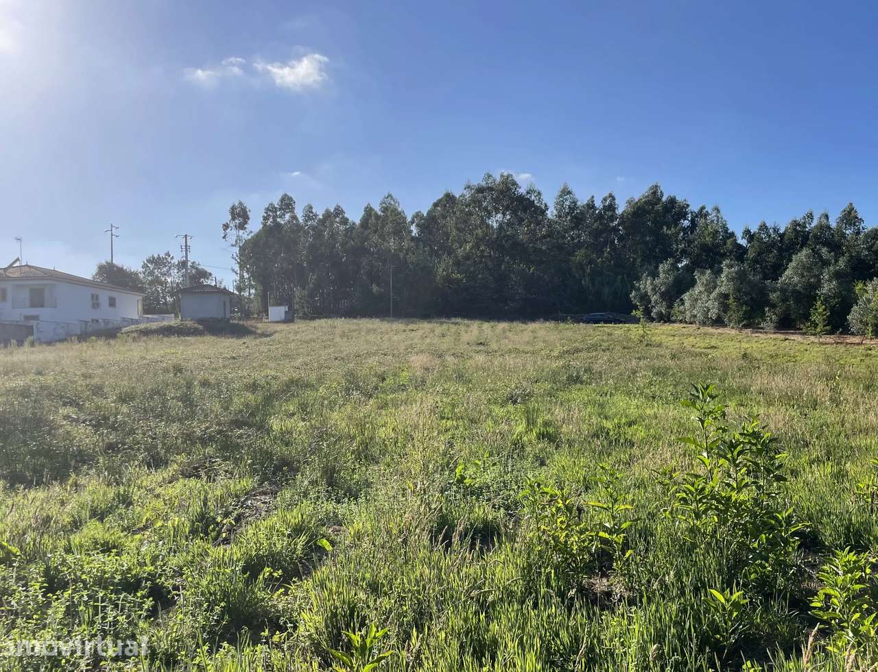 Terreno em Oiã com Vista Campestre, acessos e próximo do centro - Grande imagem: 3/10