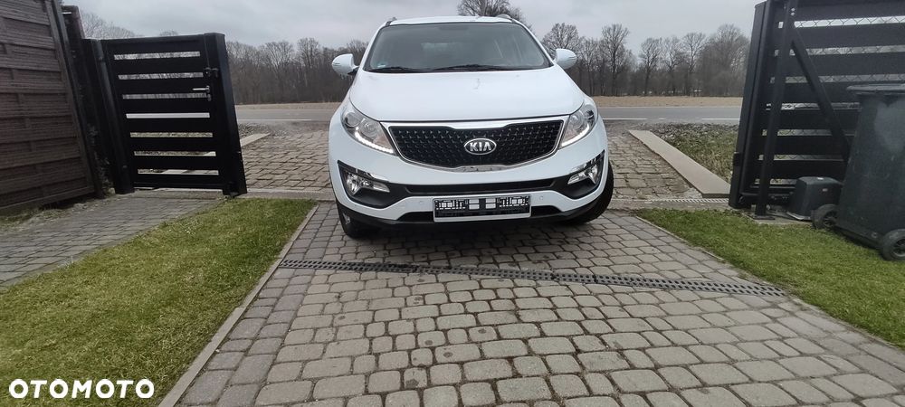 Kia Sportage - 14