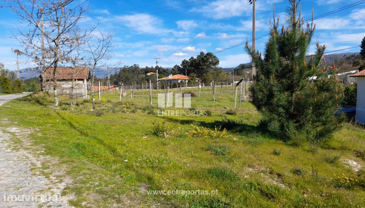 Venda Terreno, Salvador do Monte, Amarante - Grande imagem: 5/41