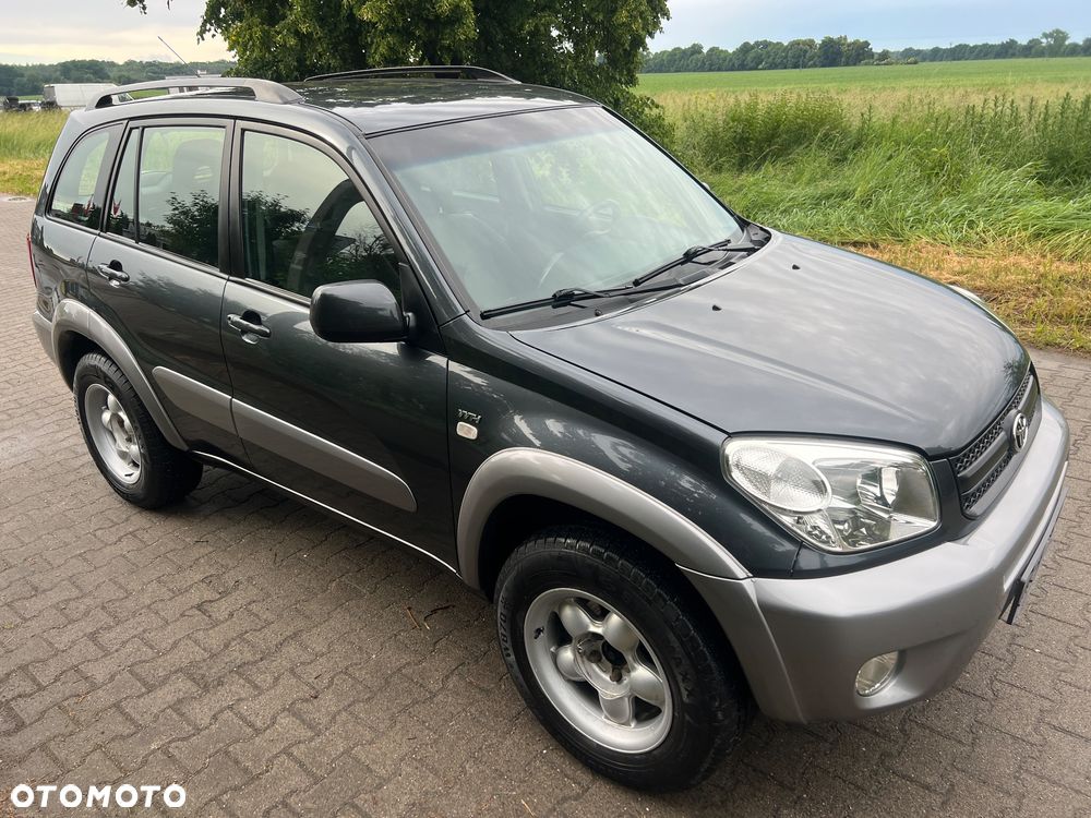 Toyota RAV4 - 19