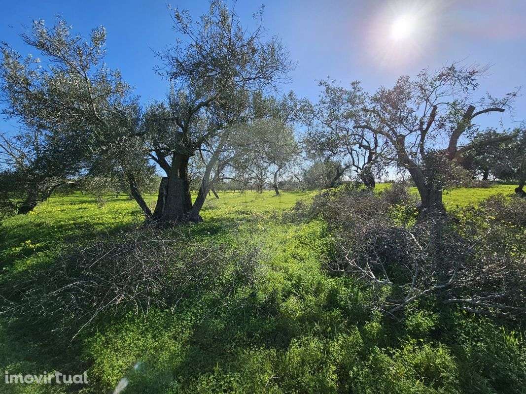Terreno  para venda - Grande imagem: 2/3