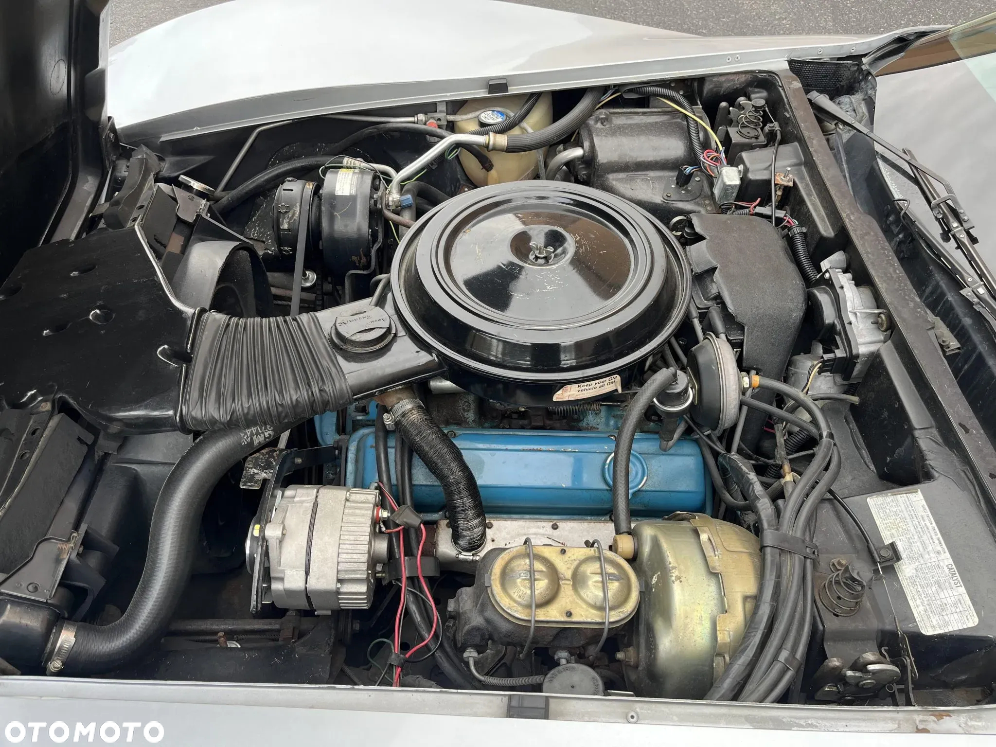 Chevrolet Corvette - 7