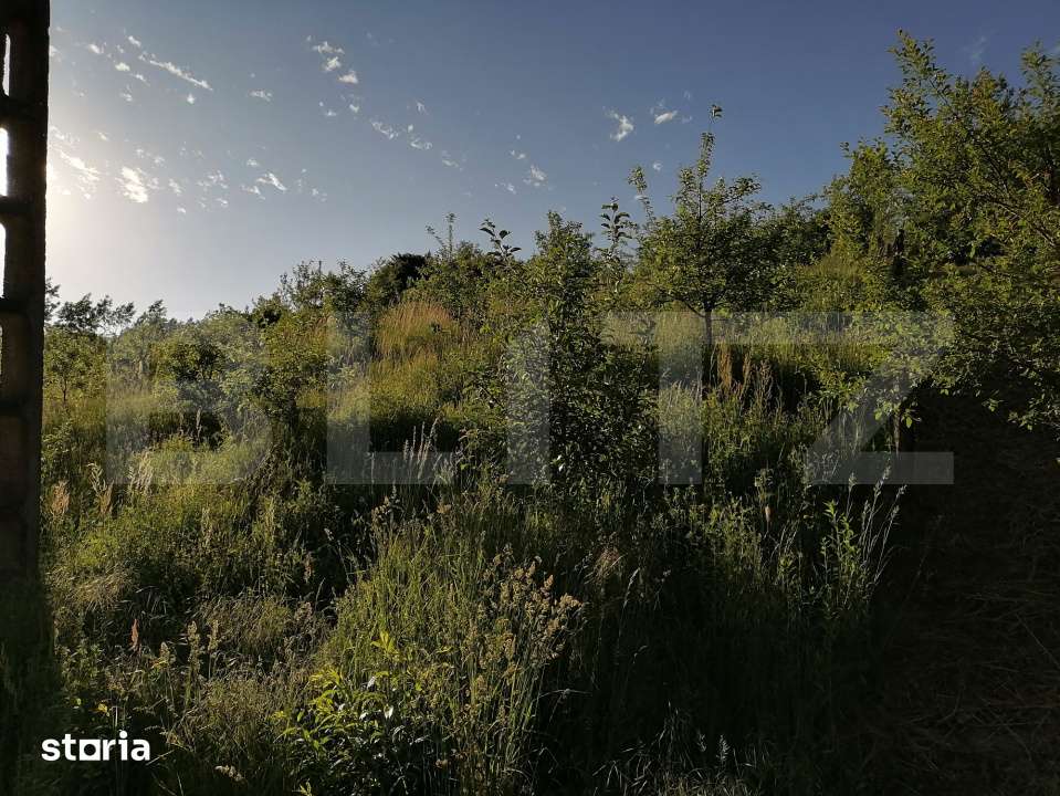 Vand teren intravilan (7322mp) + extravilan (7078mp) - Imagine principală: 4/8