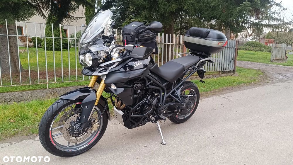 Triumph Tiger - 1