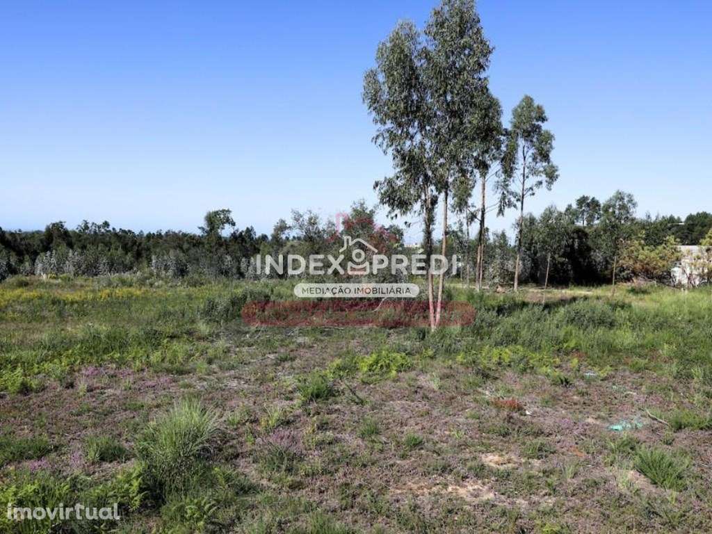 Conjunto de 2 terrenos em Rio Meão, com capacidade de edificação - Grande imagem: 3/6