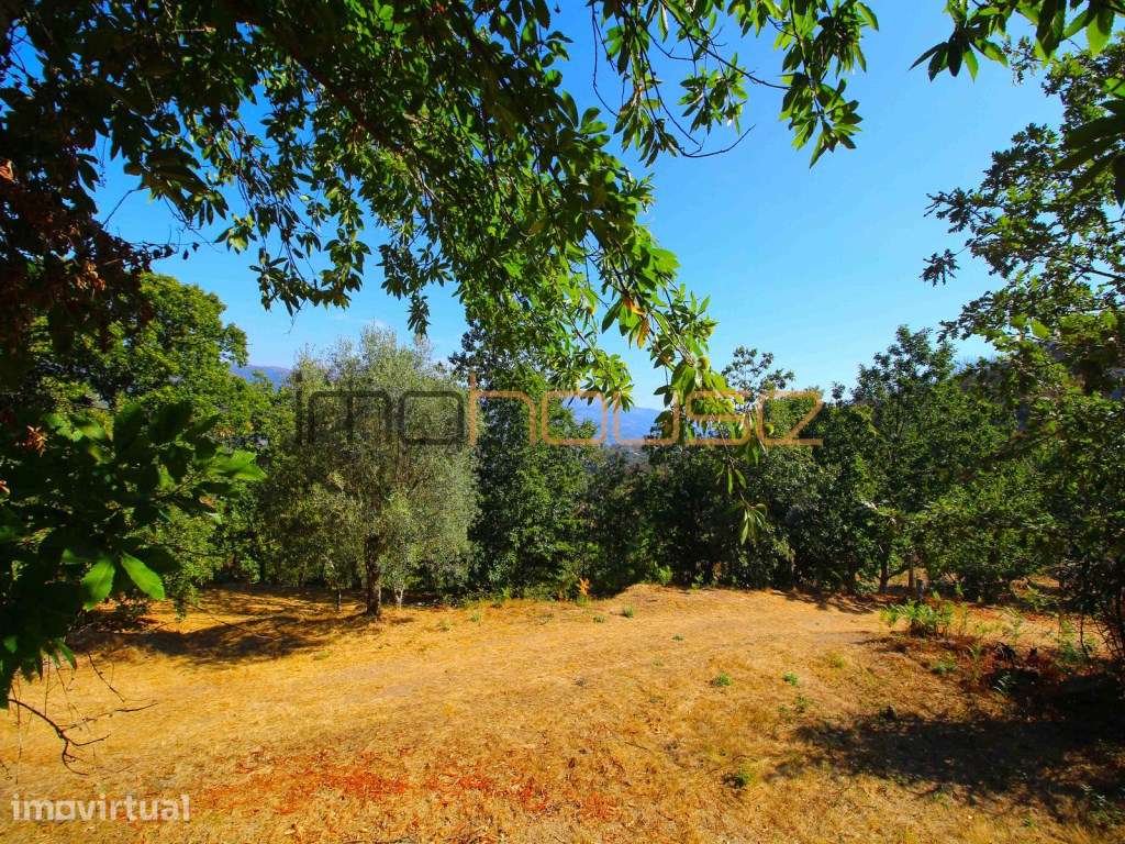 Quinta de 2ha com vista panorâmica - Freigil - Grande imagem: 5/23