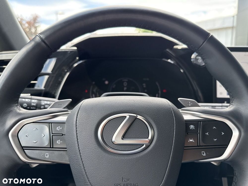 Lexus RX - 18