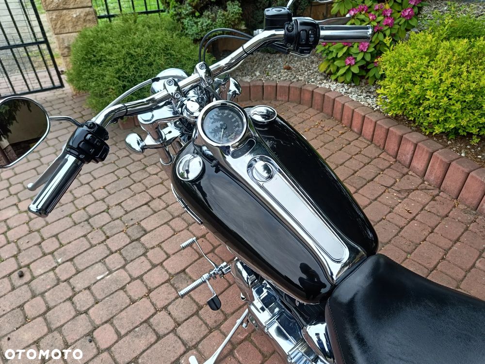 Harley-Davidson Softail - 20