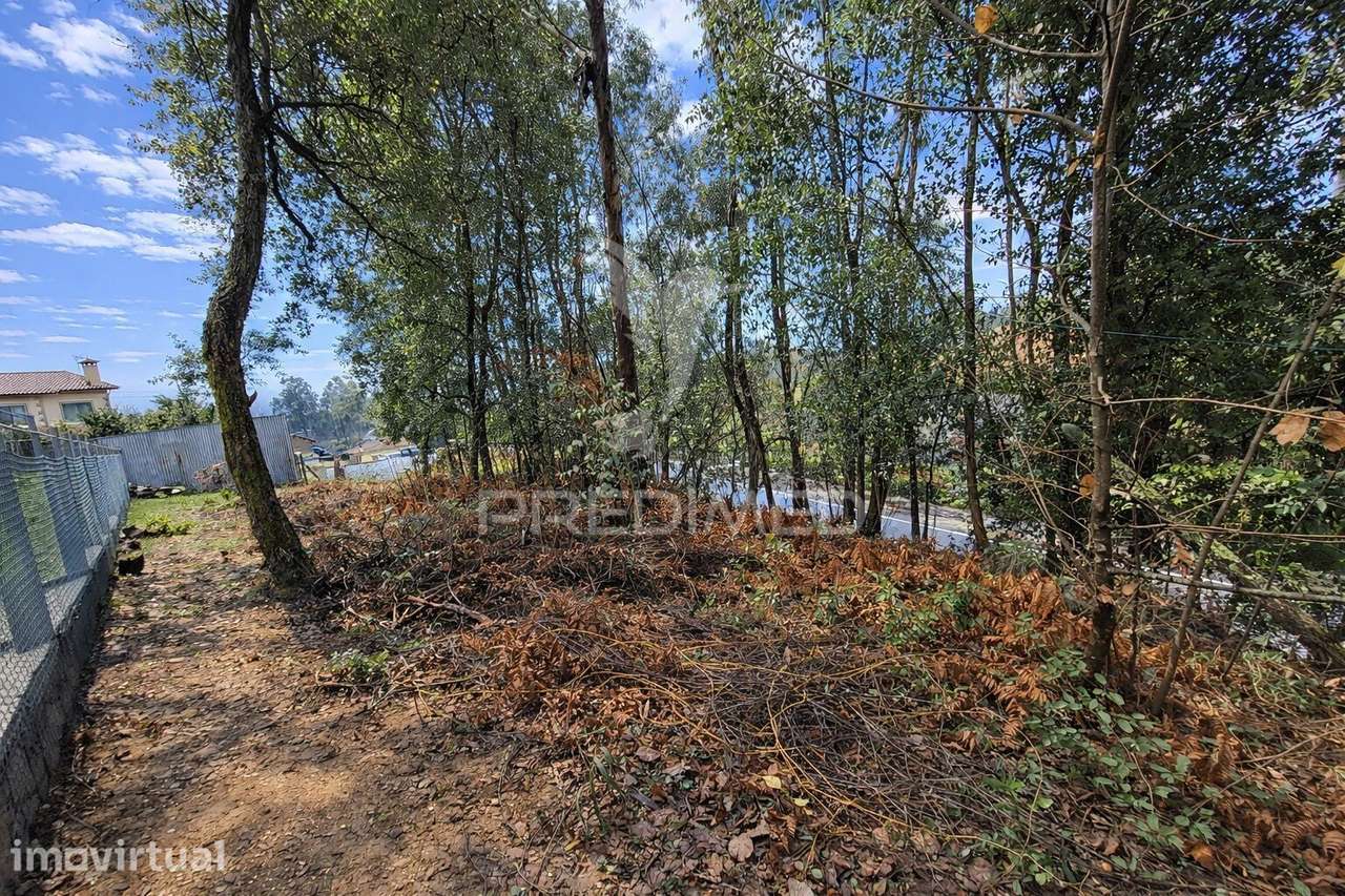 Terreno p/Construção em Freiriz, Vila Verde - Grande imagem: 4/9