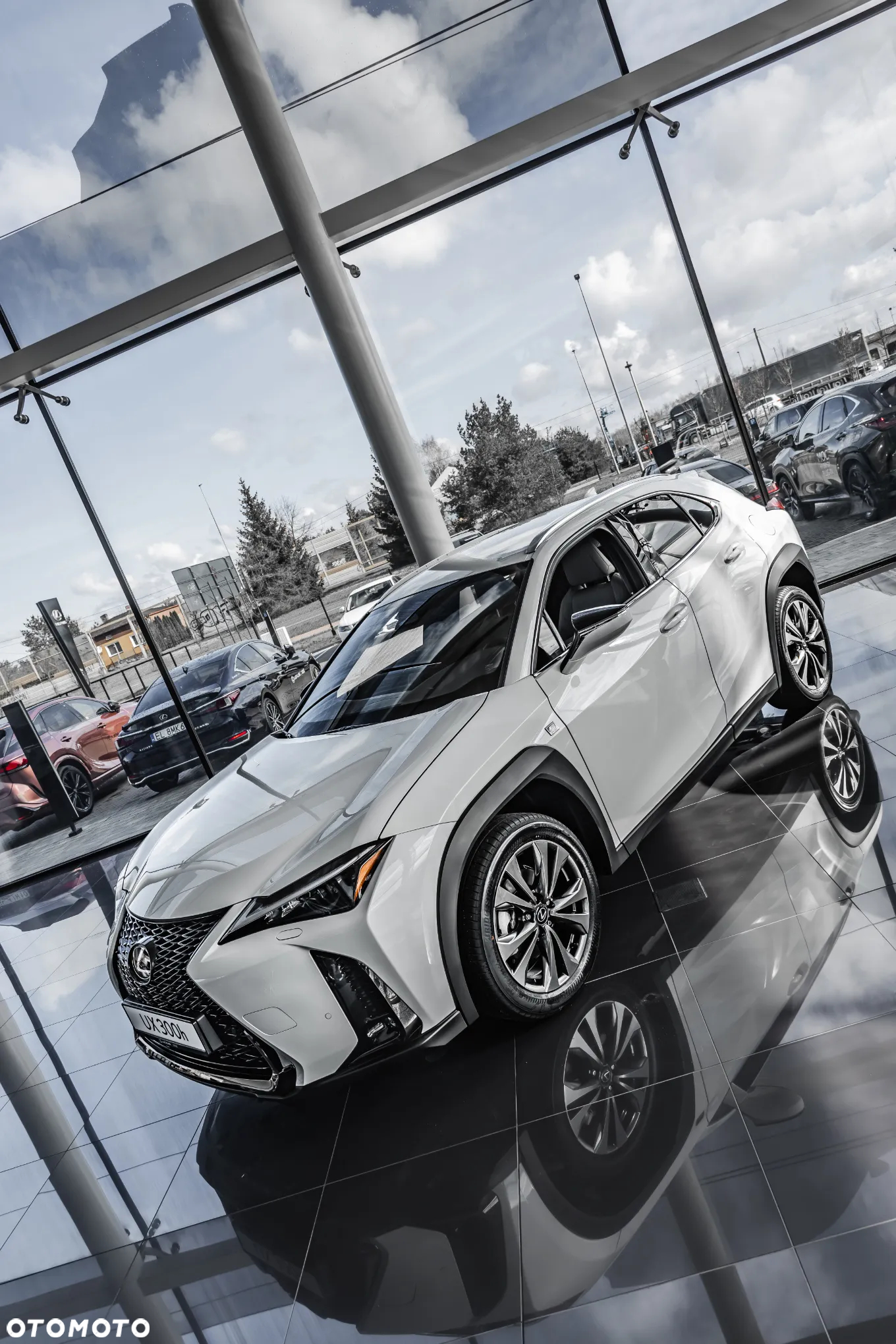 Lexus UX 300h F Sport Design AWD - 5