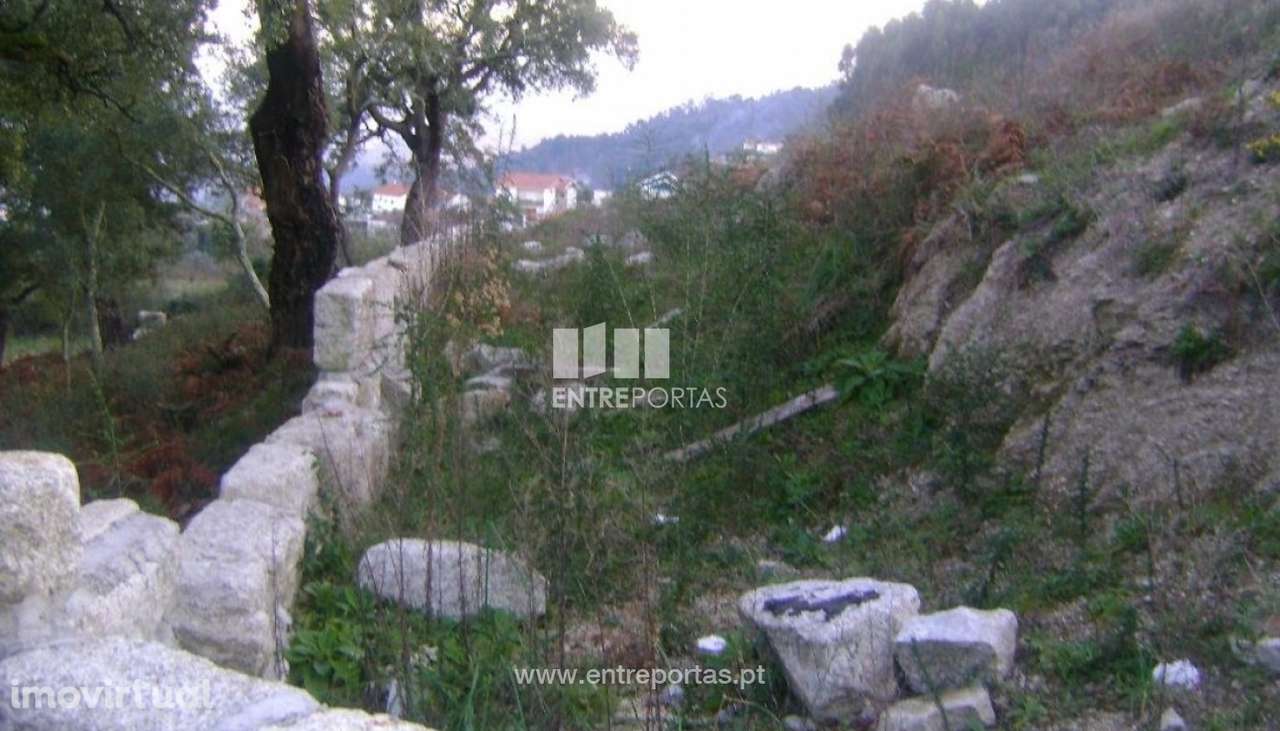 Venda Terreno, Paredes de Viadores, Marco de Canaveses - Grande imagem: 2/9