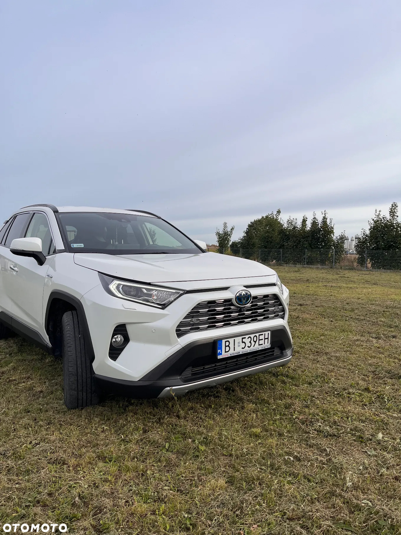Toyota RAV4 2.5 Hybrid Executive 4x2 - 2