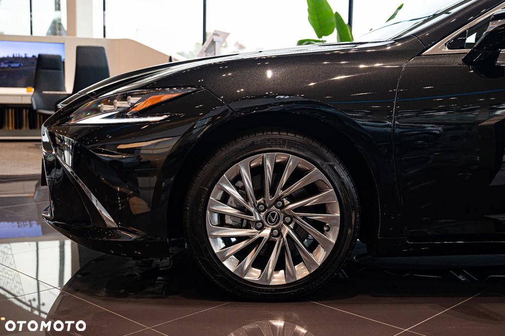 Lexus ES 300h Omotenashi - 7