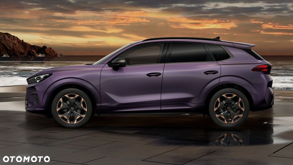 Cupra Terramar - 3