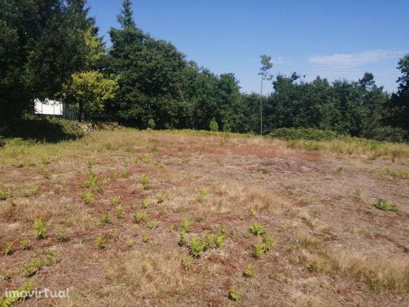 Terreno para construção - Grande imagem: 4/8