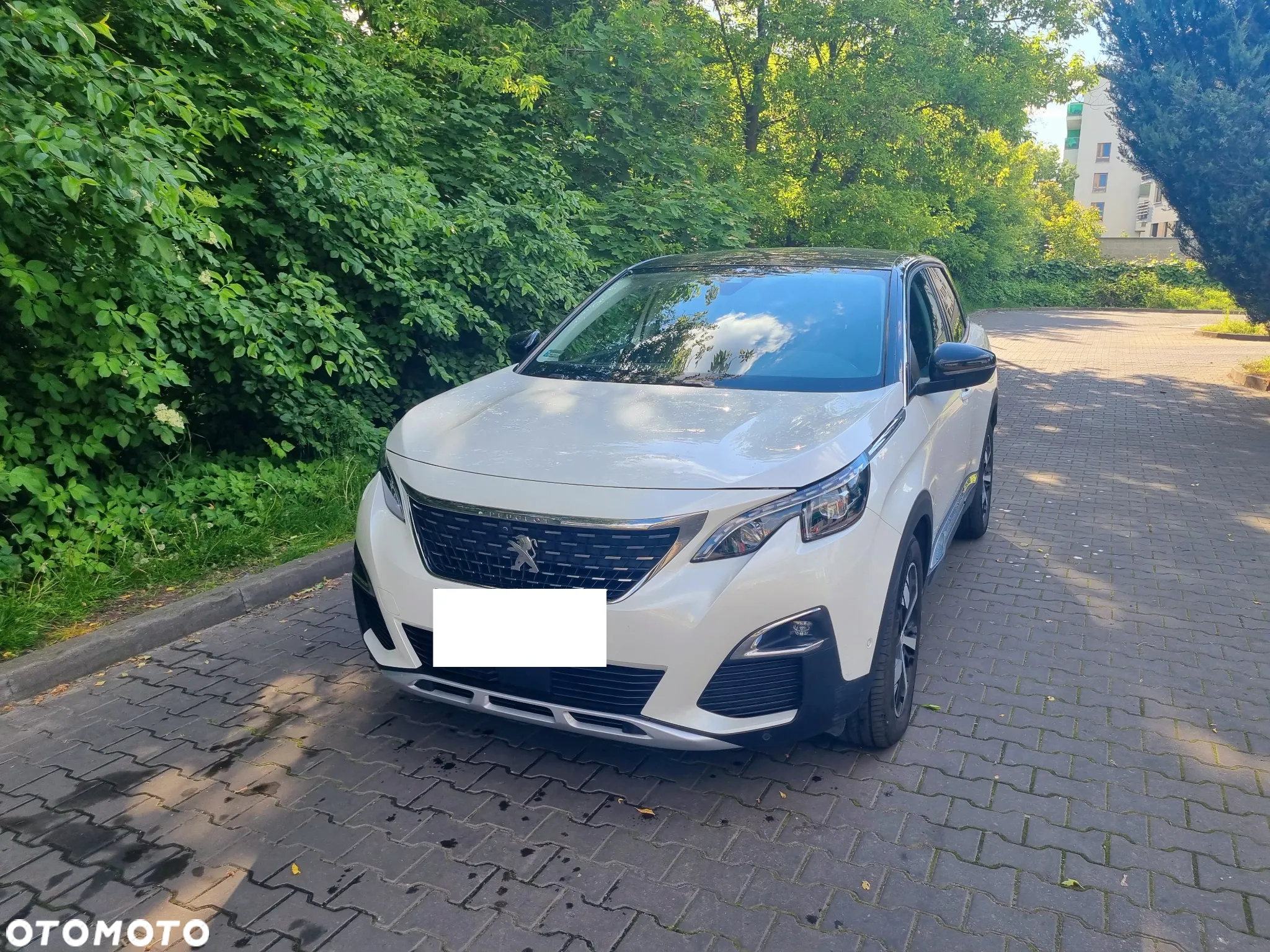 Peugeot 3008 1.2 PureTech GPF Allure S&S EAT8 - 3