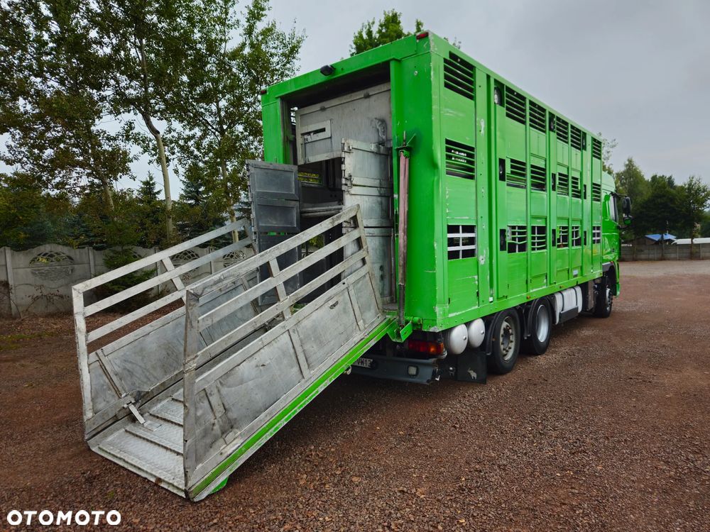 DAF xf 105 460 - 10