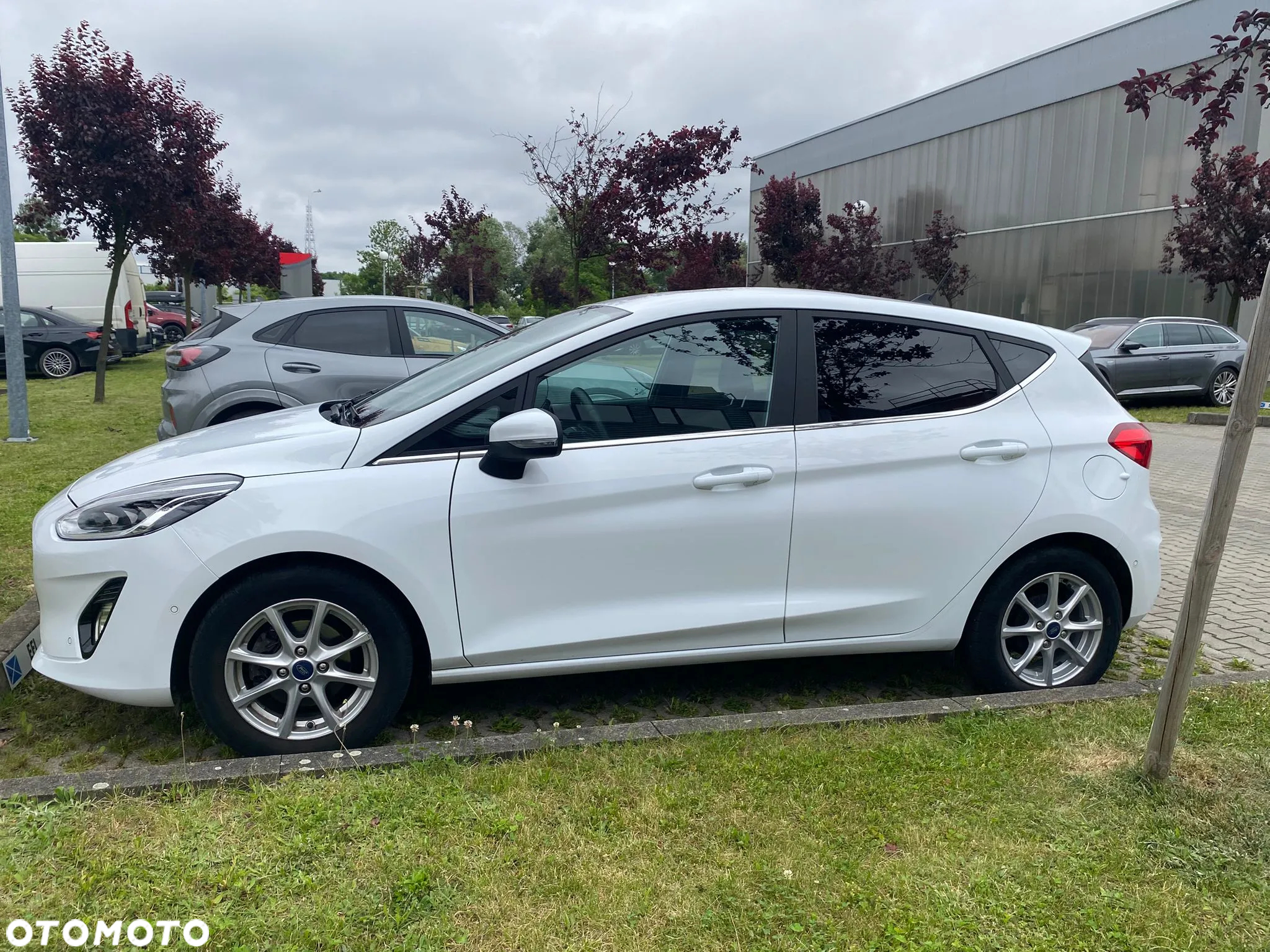 Ford Fiesta 1.0 EcoBoost mHEV Titanium - 2