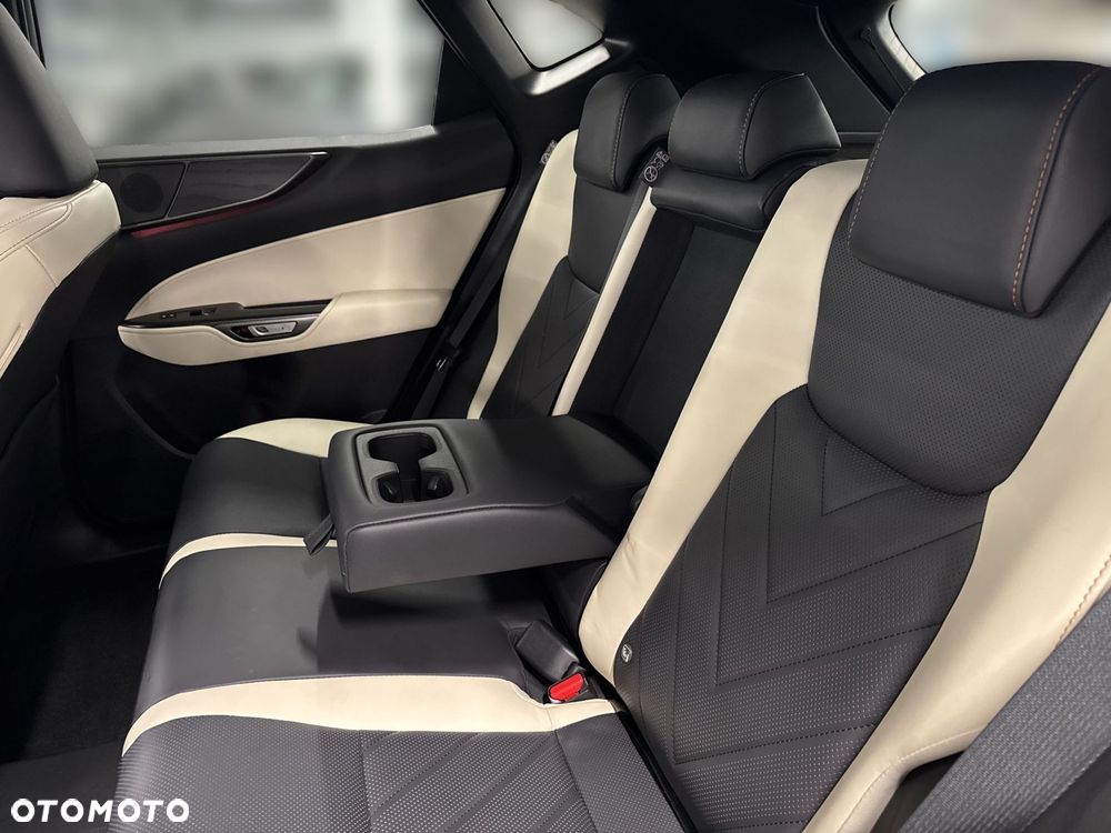 Lexus NX - 12