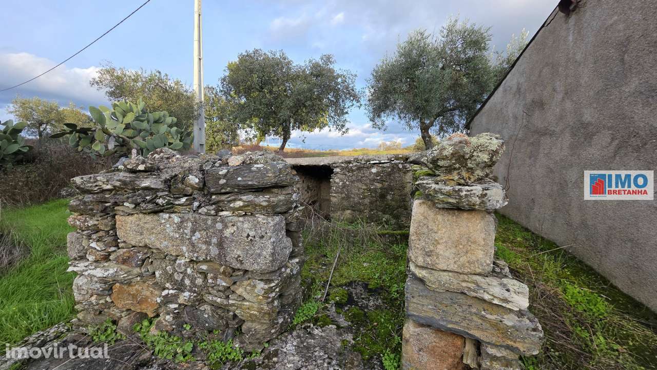 Terreno  Venda em Idanha-a-Nova e Alcafozes,Idanha-a-Nova - Grande imagem: 4/12
