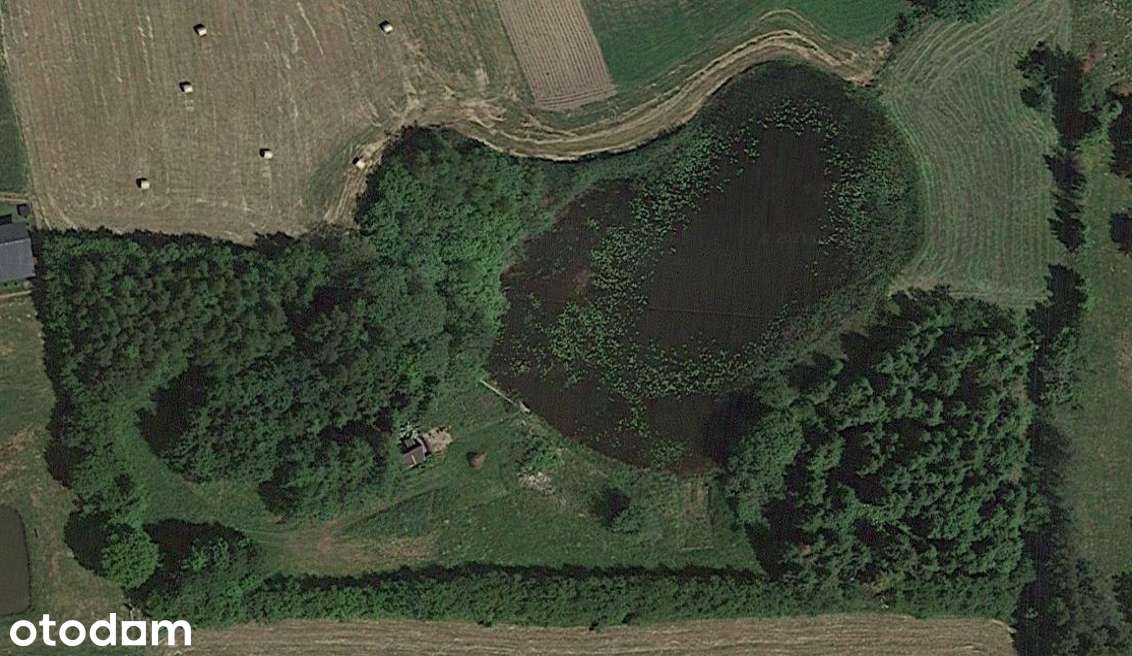 Działka ze stawem - Pełny obrazek: 2/3