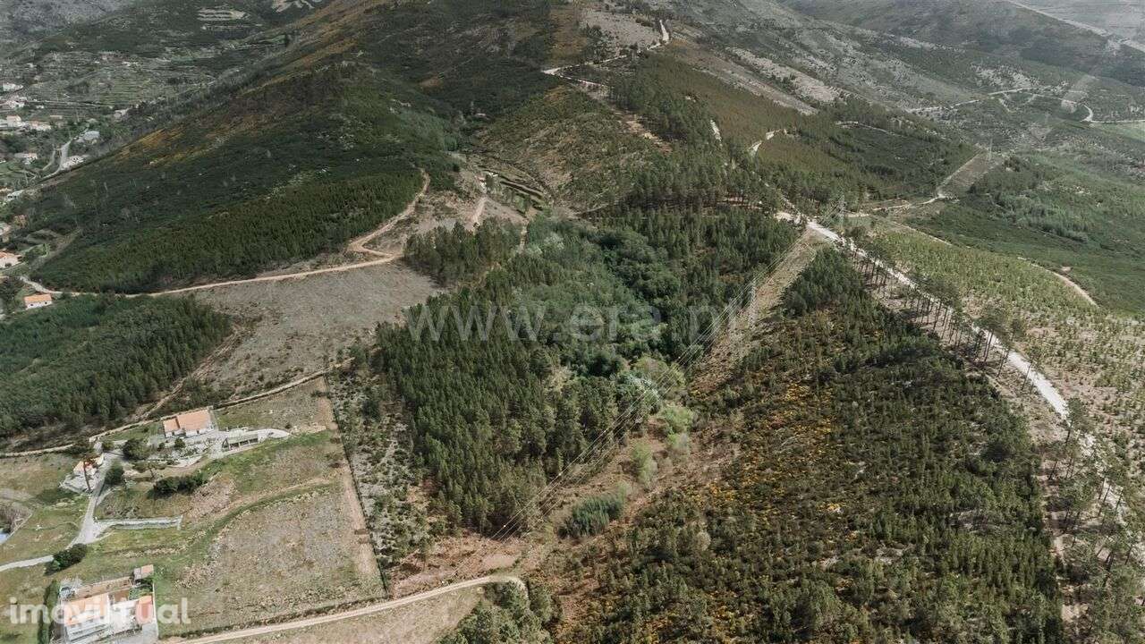 Terreno com ruina / Covilhã, Serra da Estrela - Grande imagem: 2/5