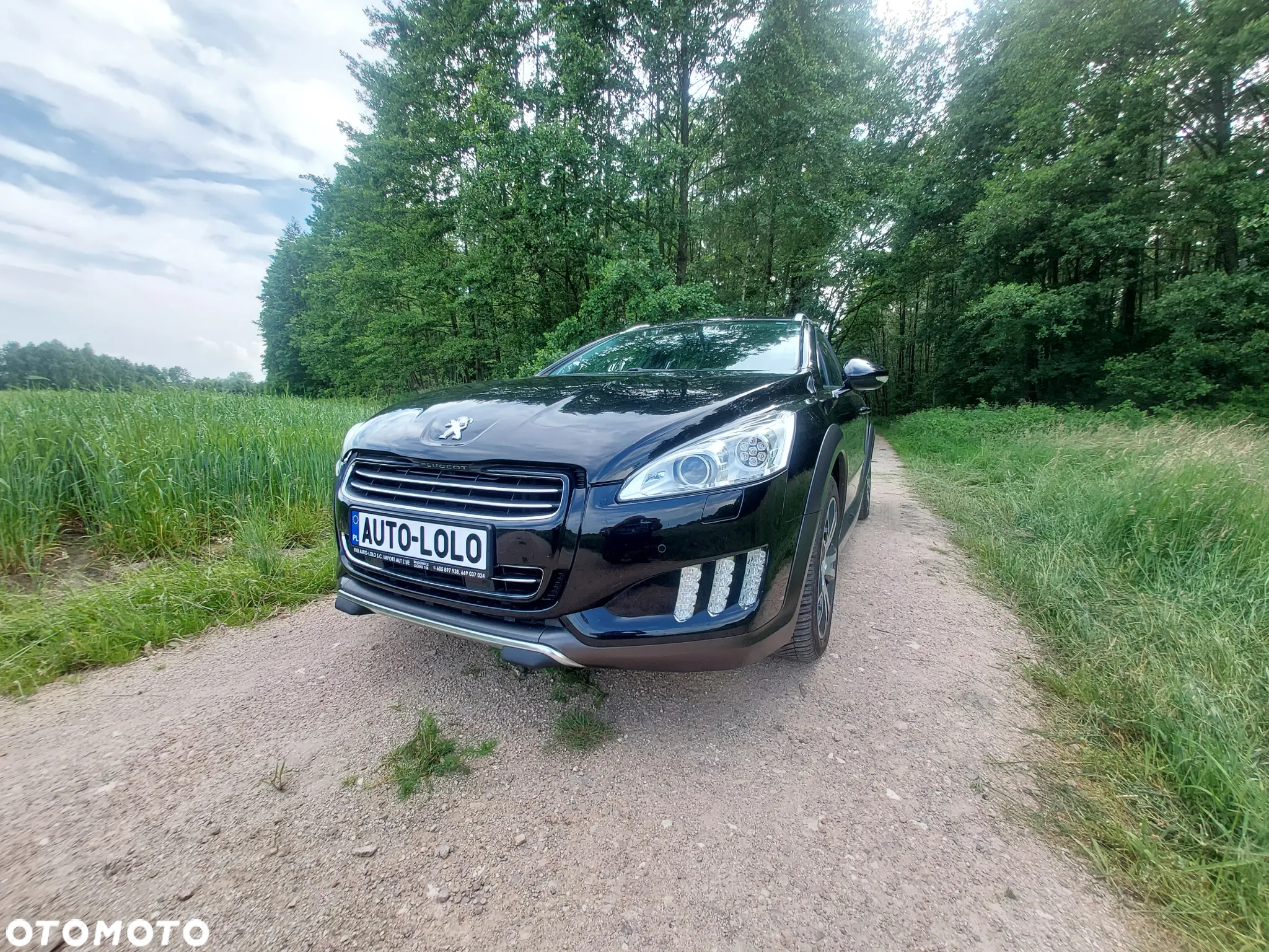Peugeot 508 RXH 2.0 HDi HYbrid4 - 2