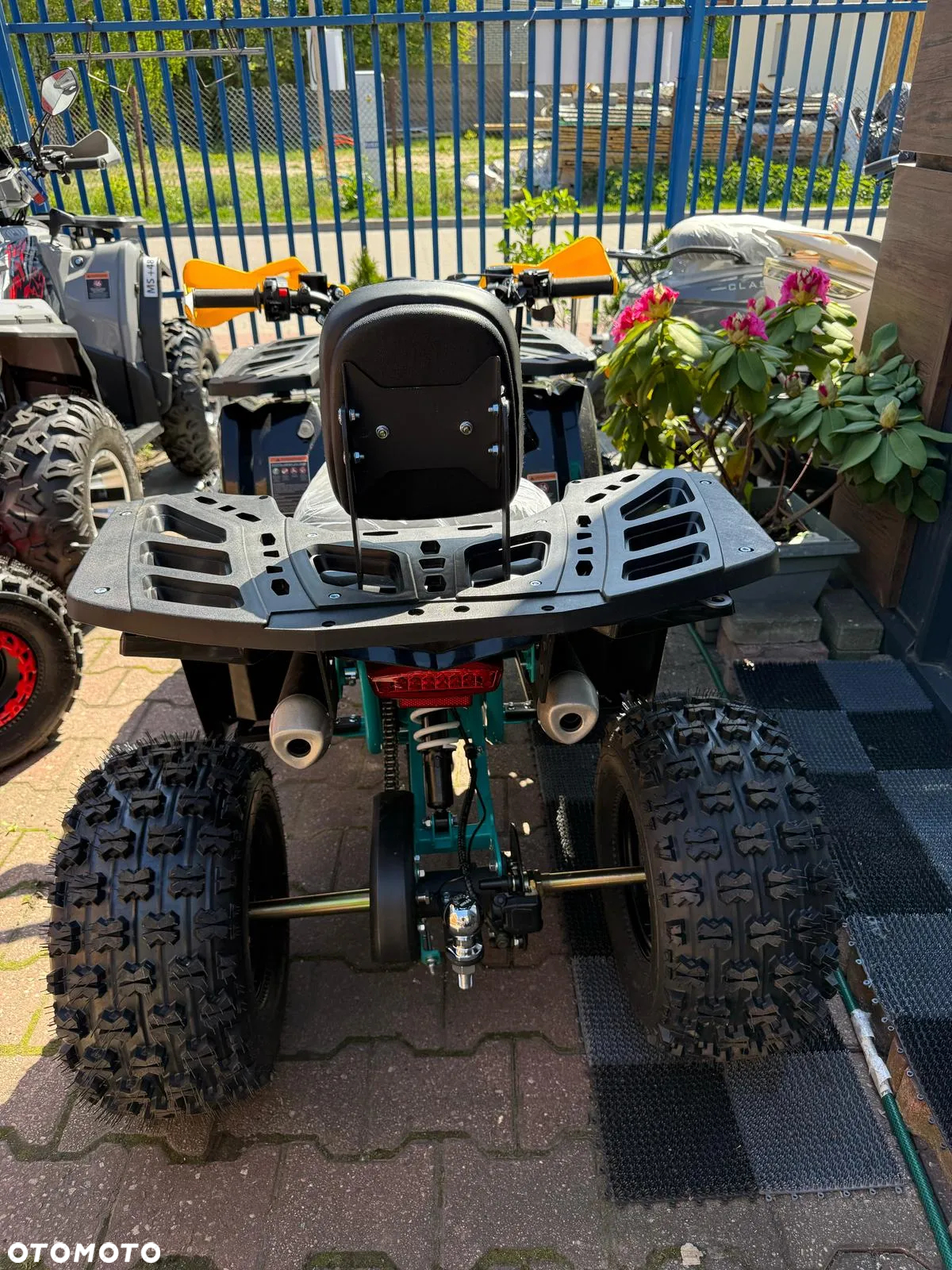 Barton Raptor - 10