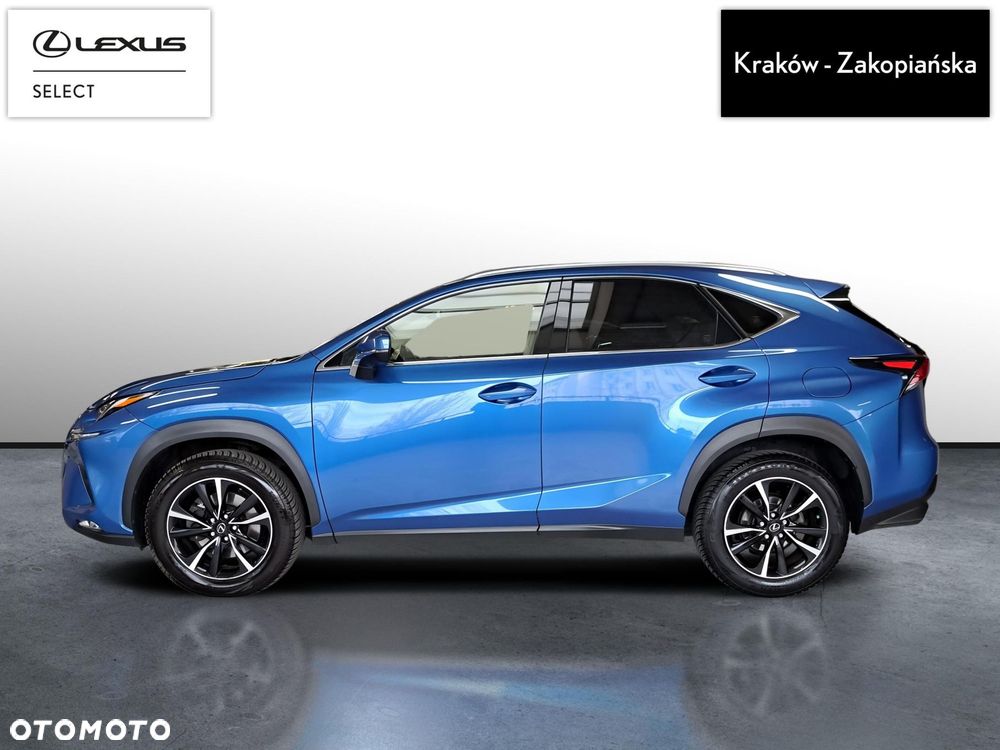 Lexus NX 300 Comfort AWD - 5