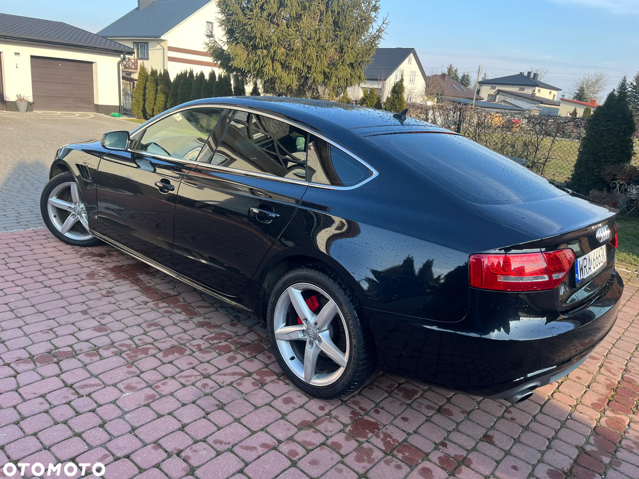 Audi A5 3.0 TDI Sportback quattro DPF S tronic - 7