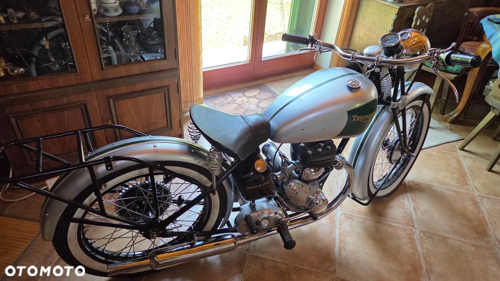 Triumph Inny - 11