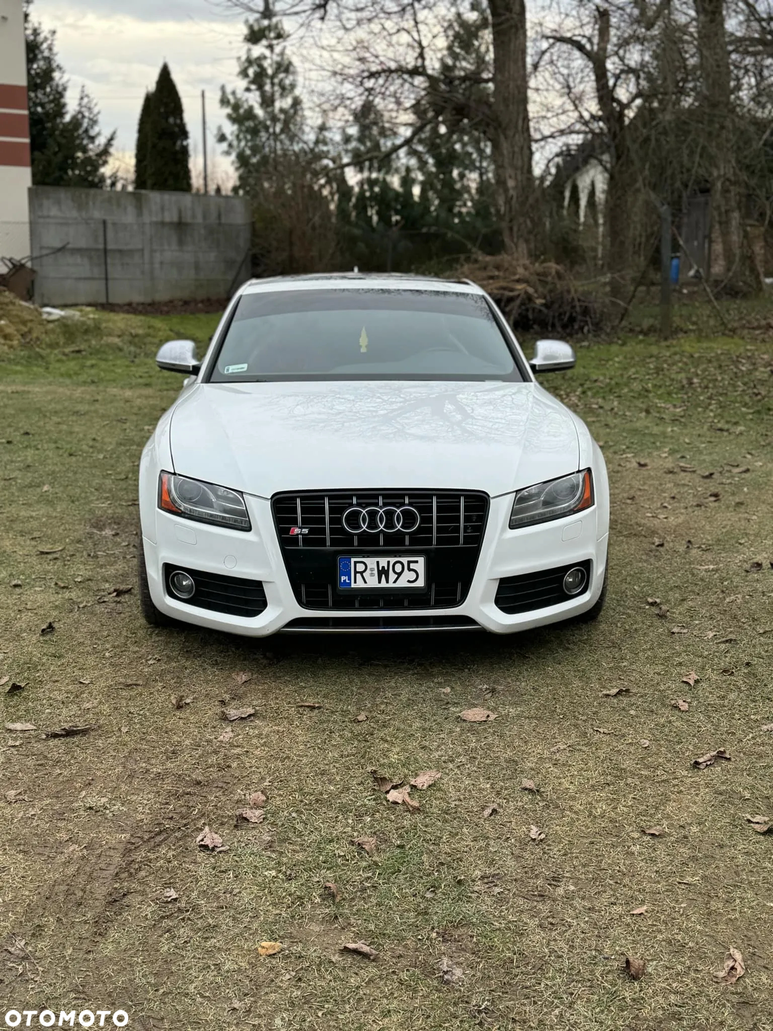 Audi S5 4.2 Quattro - 2