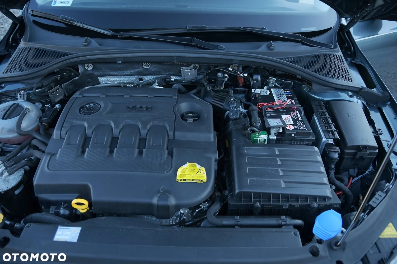 Skoda Octavia - 25