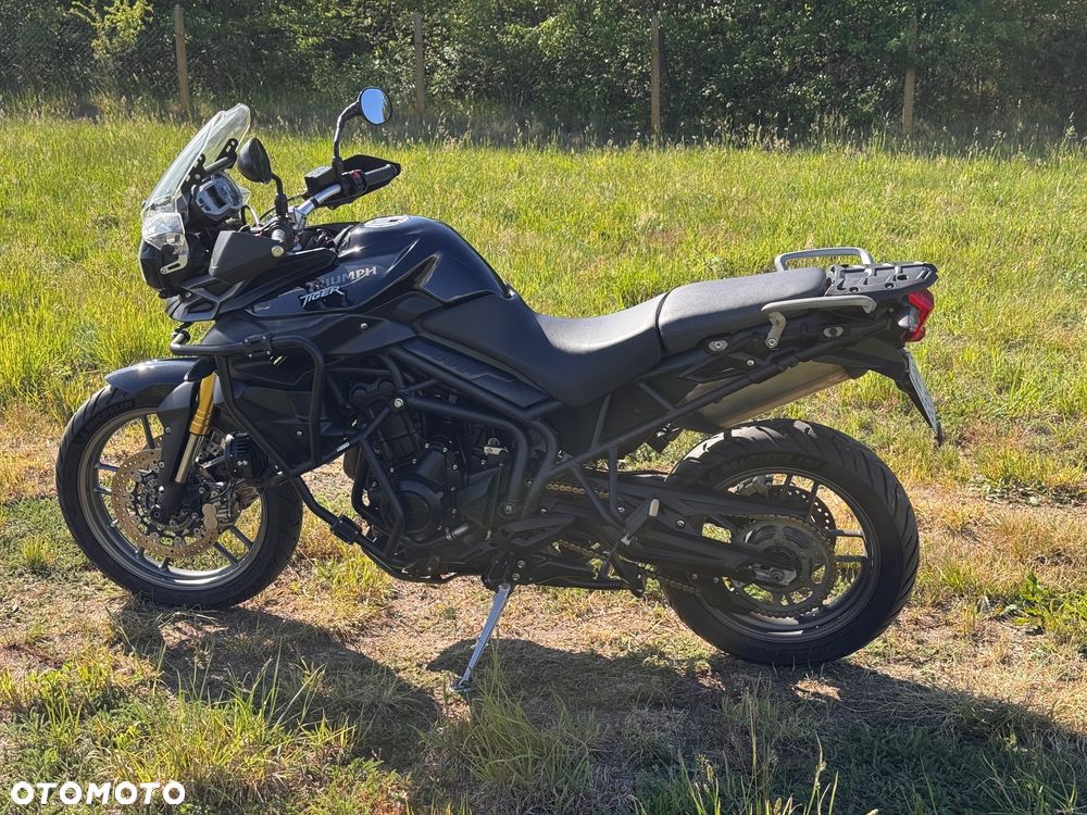 Triumph Tiger - 7
