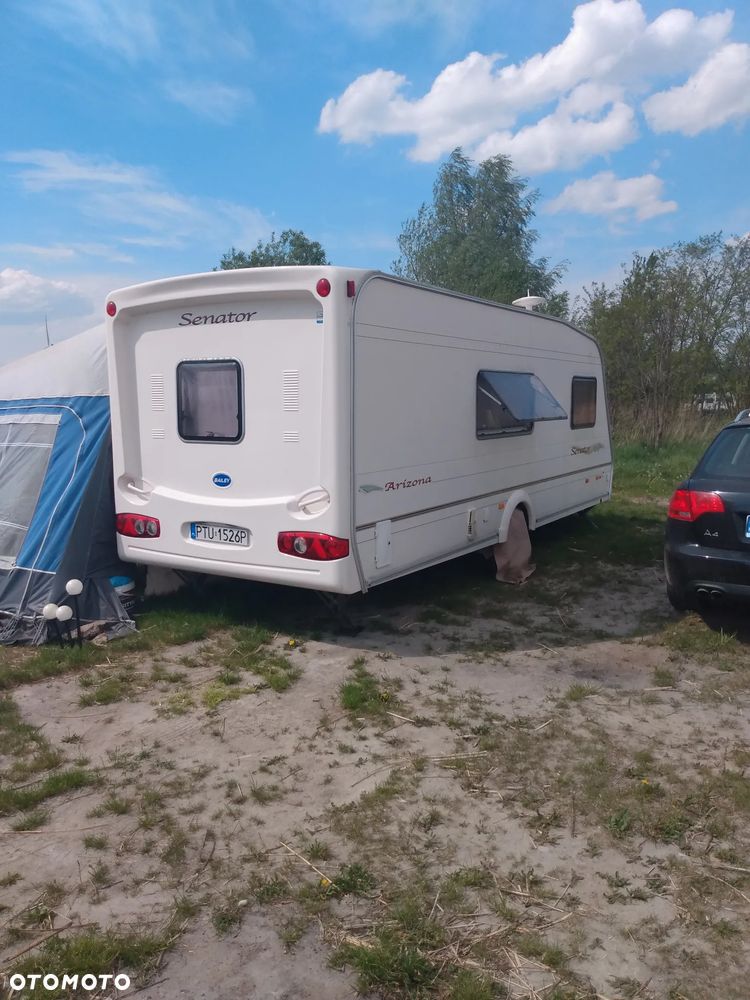 Bailey senator arizona - 2