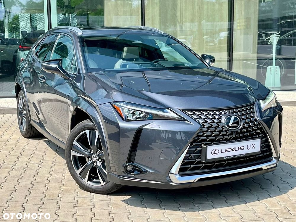 Lexus UX 300h Omotenashi AWD - 10