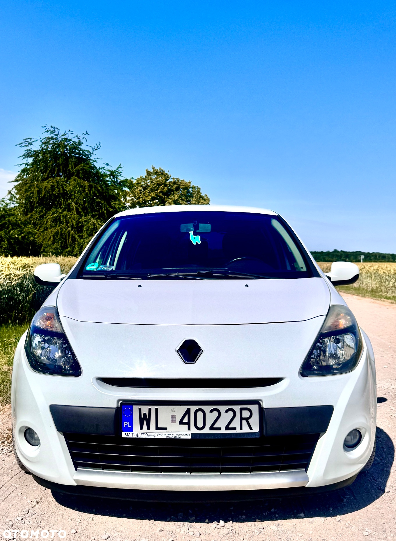 Renault Clio - 8