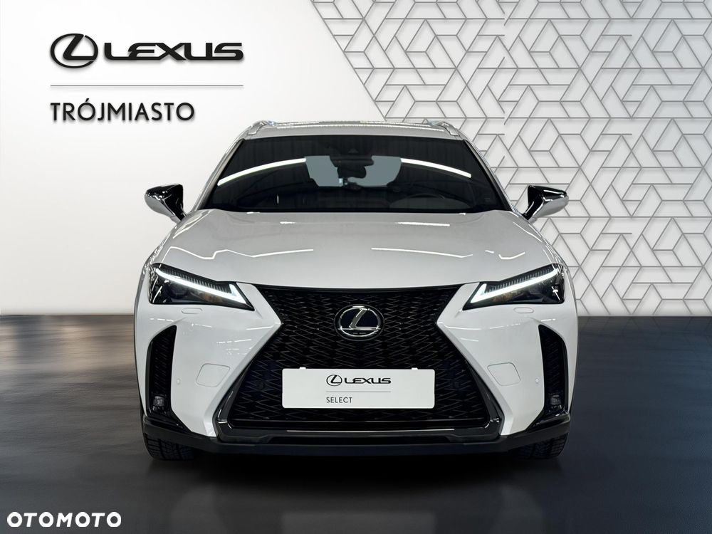 Lexus UX 250h GPF F Sport Design 2WD - 7