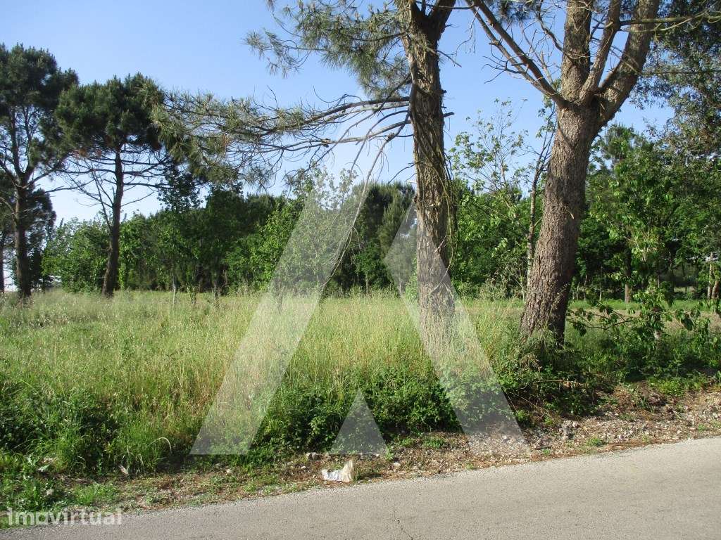 Terreno em Bustos - Grande imagem: 2/4