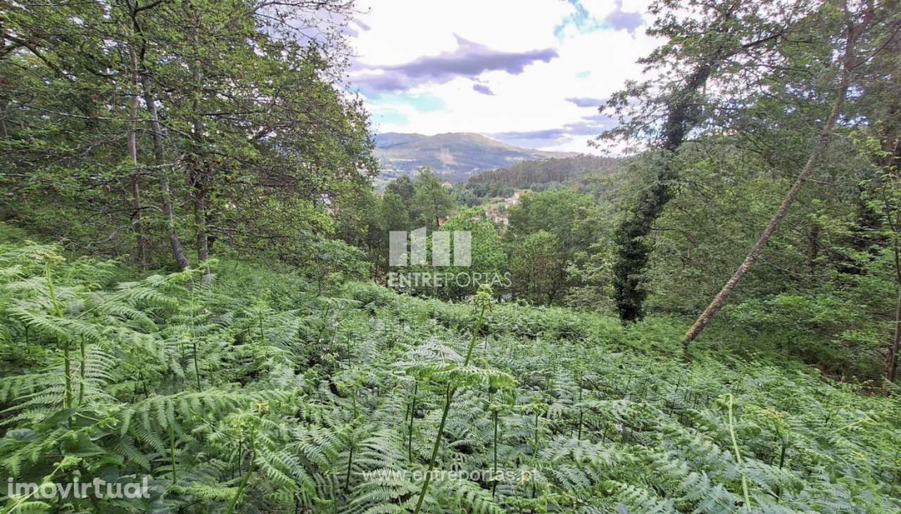 Venda de Terreno, Vila Nova de Muía, Ponte da Barca - Grande imagem: 2/27