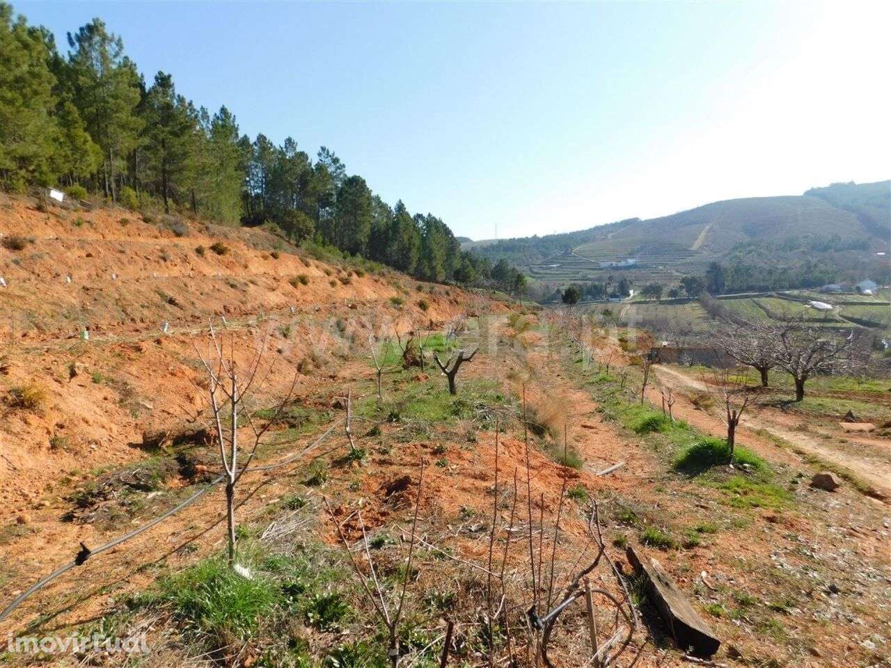 Quinta / Fundão, Alcaide - Grande imagem: 3/4