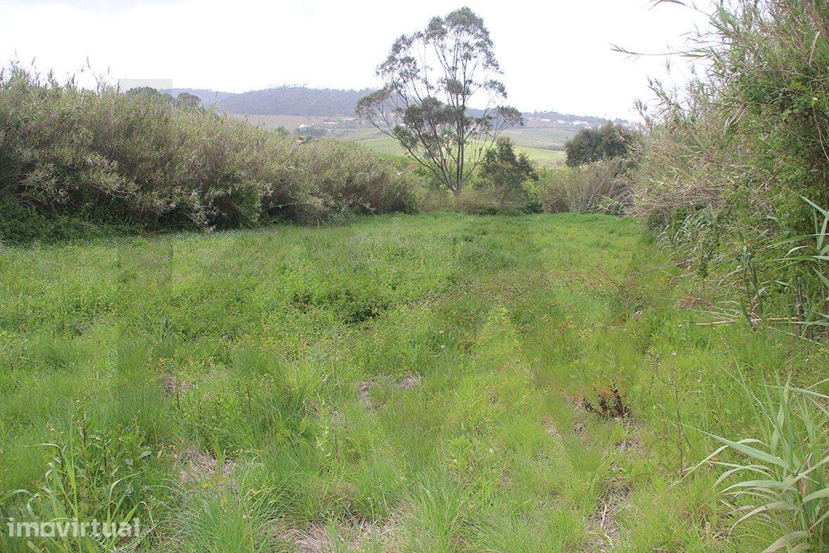 Terreno Misto com 8.250m2 | Barras – Mafra Entre Mafra, Ericeira, Torr - Grande imagem: 3/19