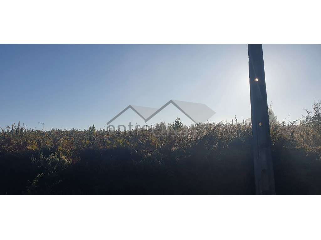 Lote para construção de armazém, para industria. - Grande imagem: 5/5