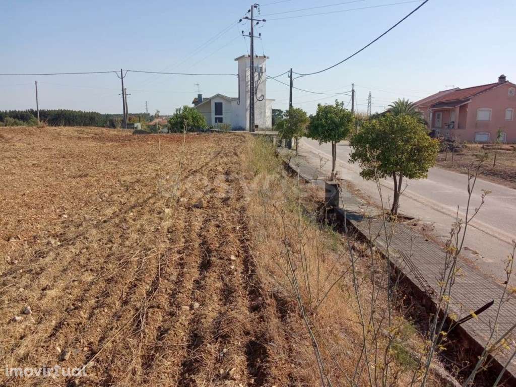 Terreno Urbano em São Pedro de Tomar - Grande imagem: 5/6