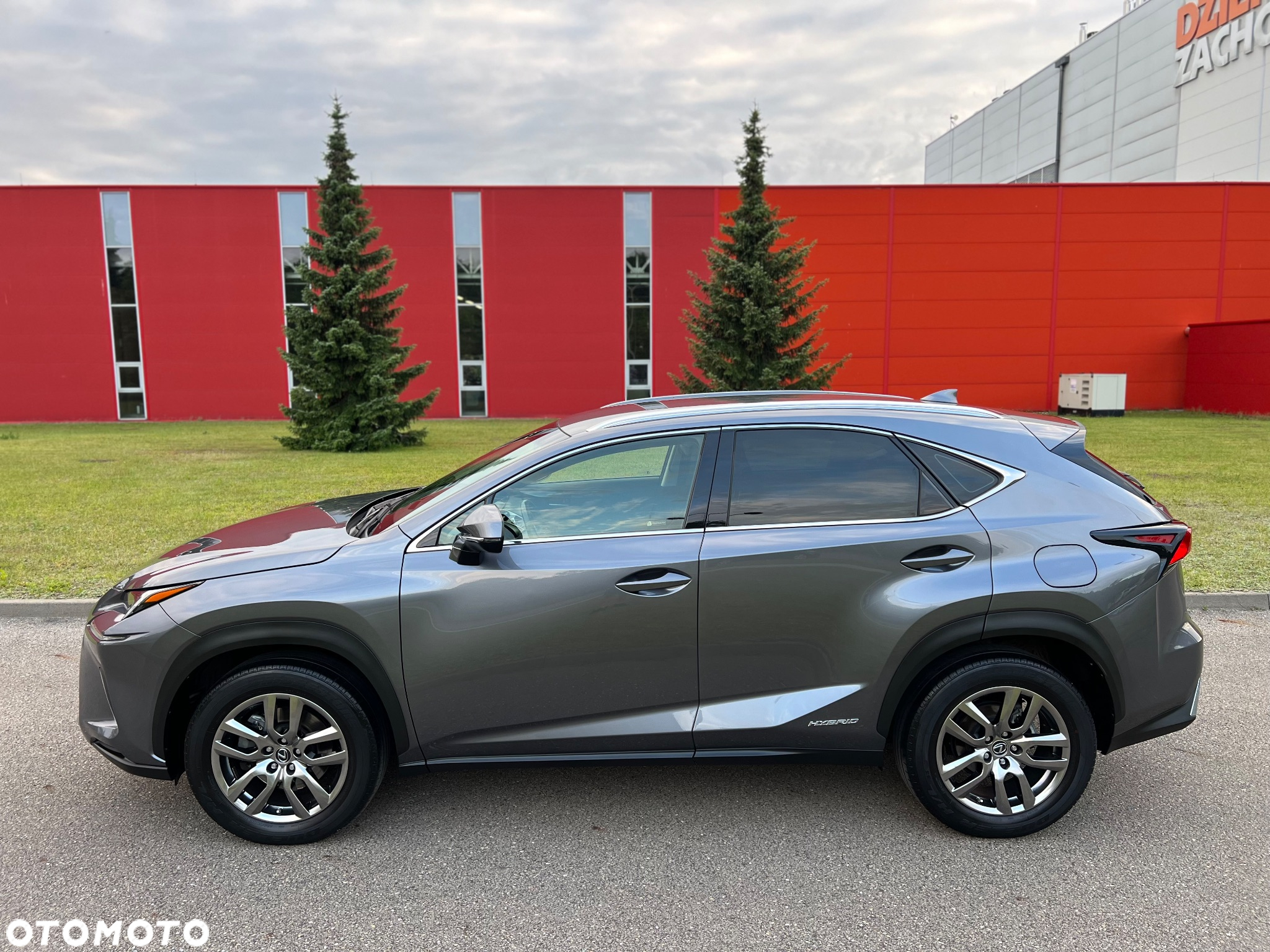 Lexus NX 300h Business Edition AWD - 5