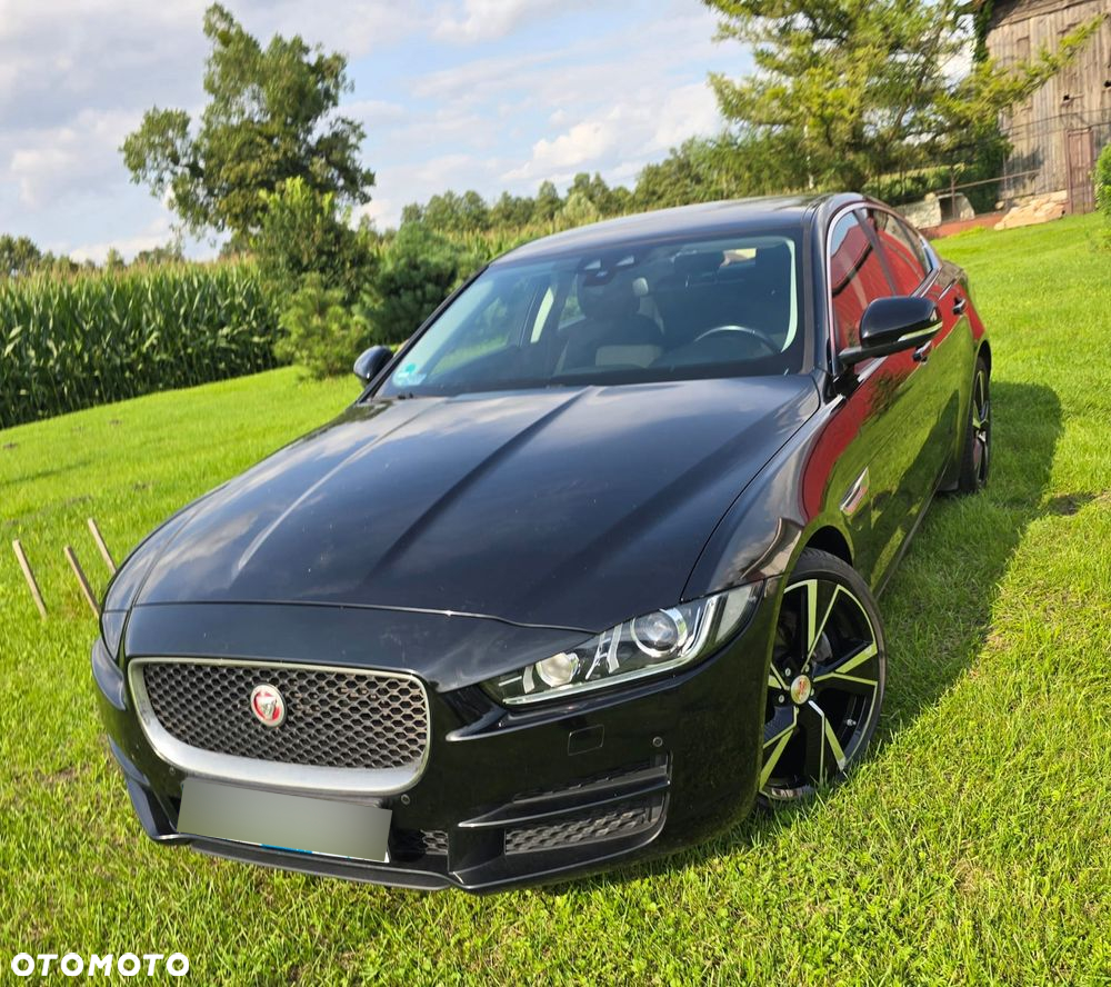 Jaguar XE - 3
